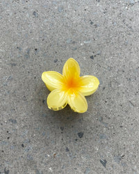 Thumbnail for FRANGIPANI FLOWER HAIR CLIP 8CM MULTI - STUDIO JO STORE