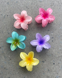 Thumbnail for FRANGIPANI FLOWER HAIR CLIP 8CM MULTI - STUDIO JO STORE