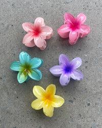 Thumbnail for FRANGIPANI FLOWER HAIR CLIP 8CM MULTI - STUDIO JO STORE  