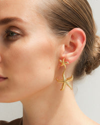 Thumbnail for Gold starfish drop earrings from Tegan Rae Jewellery featuring delicate starfish design and gold finish.