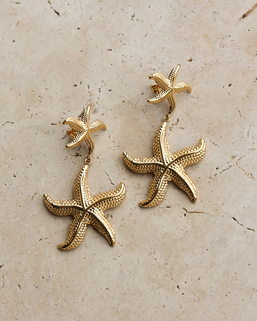 Gold starfish drop earrings by Tegan Rae Jewellery featuring delicate starfish charms hanging from elegant earring hooks.