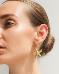 Thumbnail for Gold starfish drop earrings by Tegan Rae Jewellery featuring delicate starfish charms hanging from elegant earrings.
