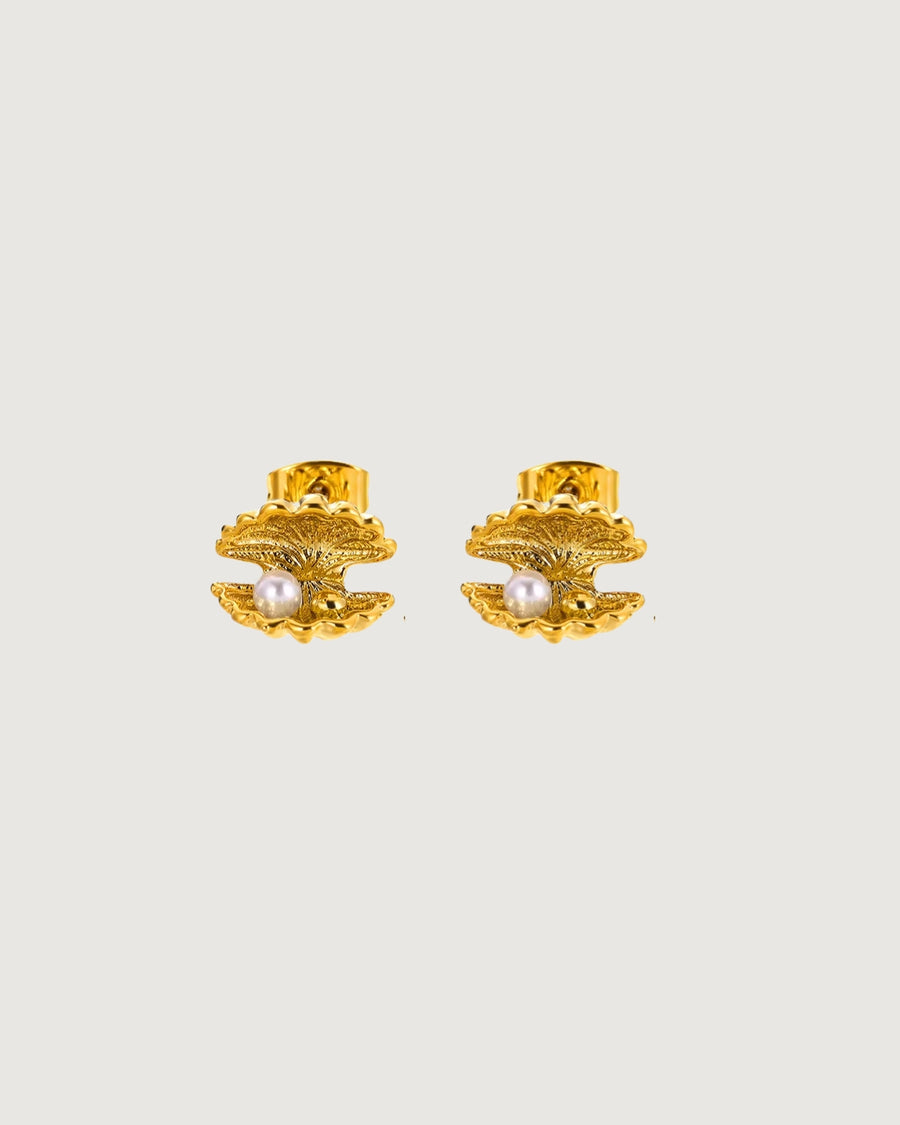 CLAM STARFISH EARRINGS - STUDIO JO STORE  