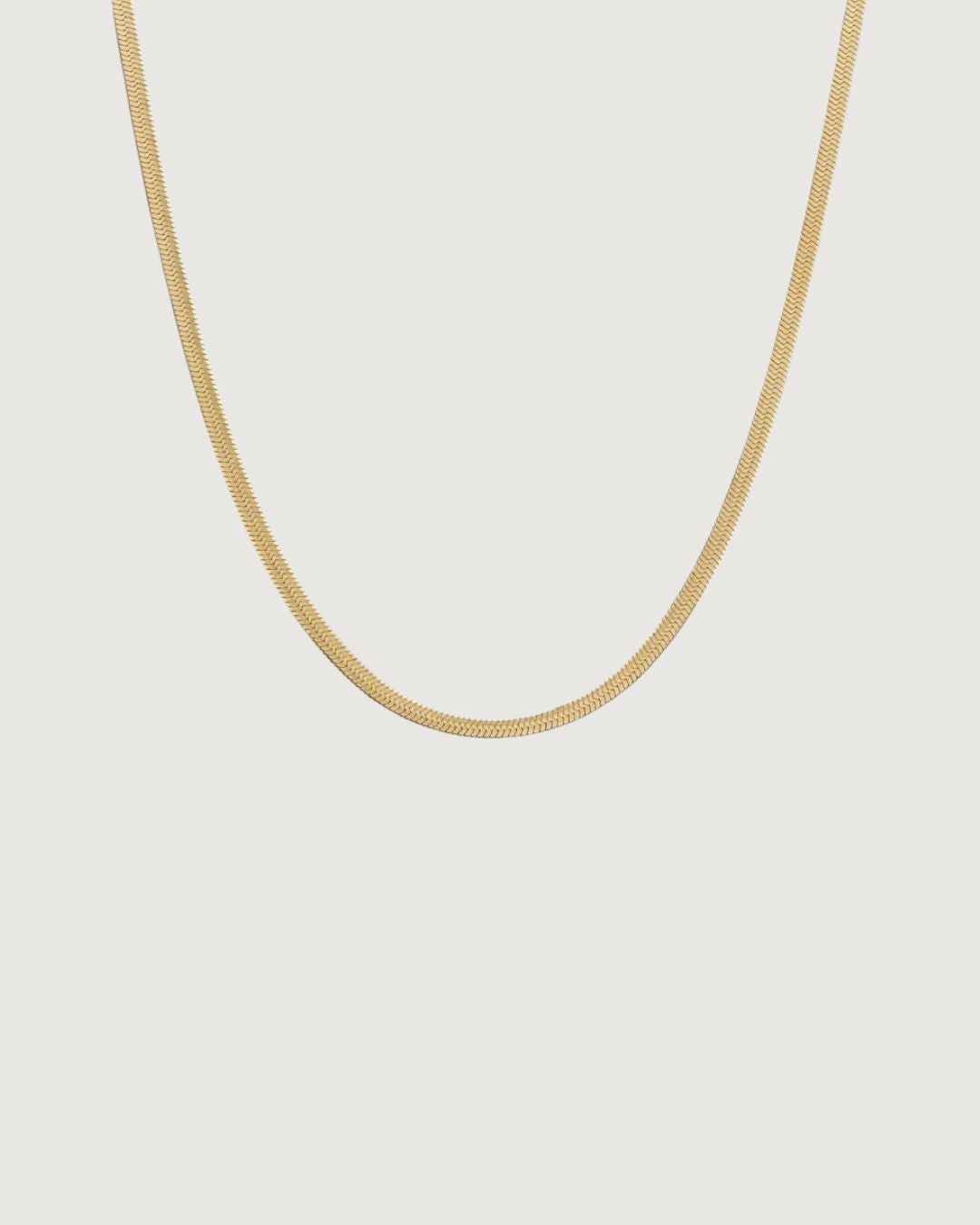 18k gold Solace fine snake chain necklace by Tegan Rae Jewellery, close-up of sleek, polished gold chain against a neutral background.