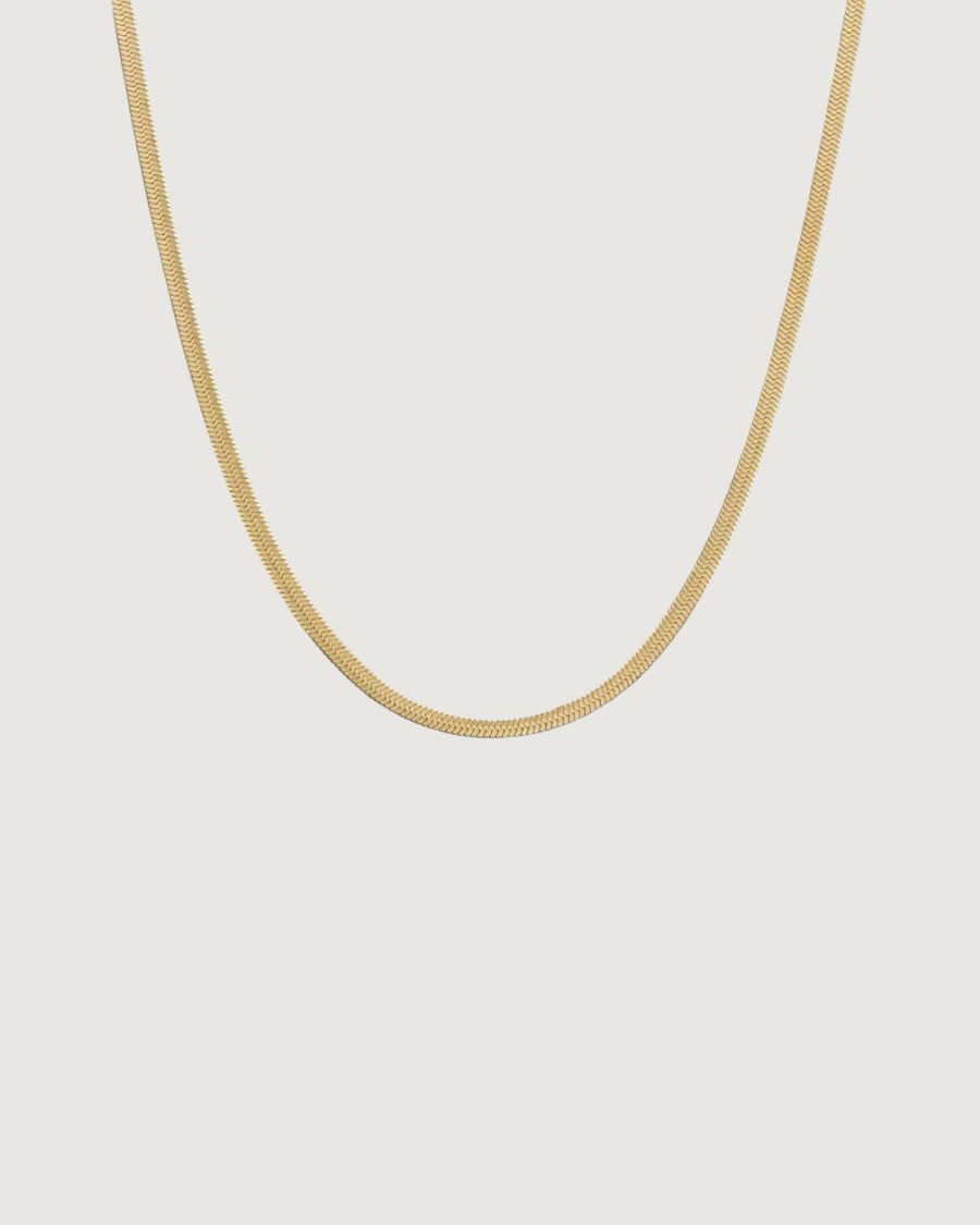 18k gold Solace fine snake chain necklace by Tegan Rae Jewellery, close-up of sleek, polished gold chain against a neutral background.