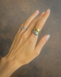 Thumbnail for Aurora Two-Tone Dome Ring by Tegan Rae Jewellery featuring platinum silver and gold in a smooth, rounded design.
